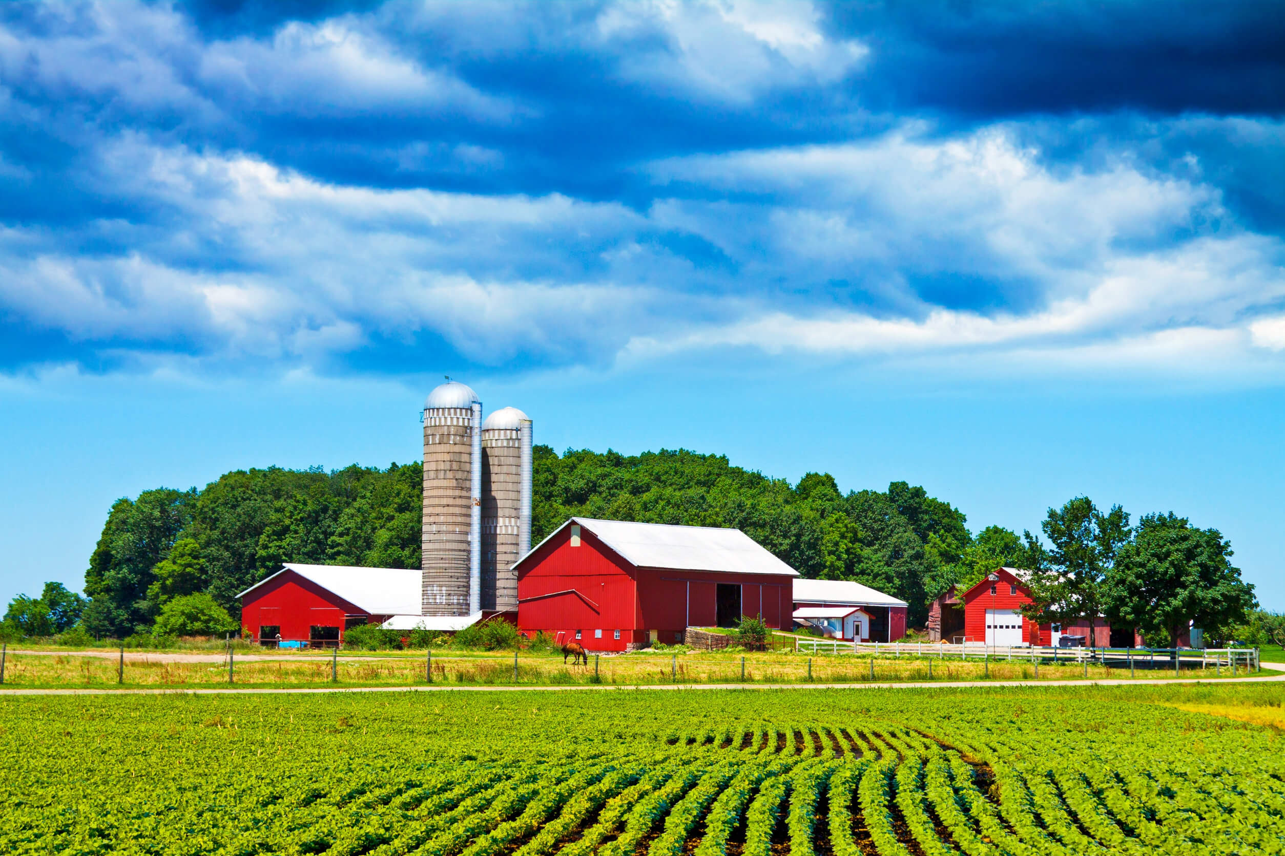 Sauk Rapids, St.Cloud, Foley, St. Joseph, Waite Park, Sartell, MN. Farm Structures Insurance